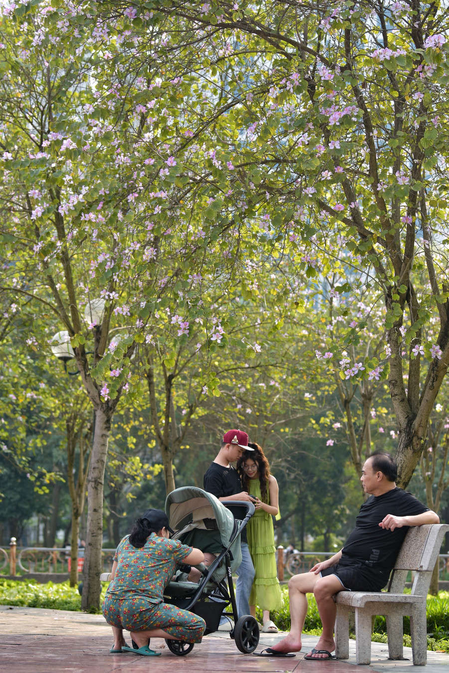 Hiện tại đang cuối tháng 3, công viên Cầu Giấy đang mang hơi thở của Tây Bắc tạo nên một khung cảnh thơ mộng.