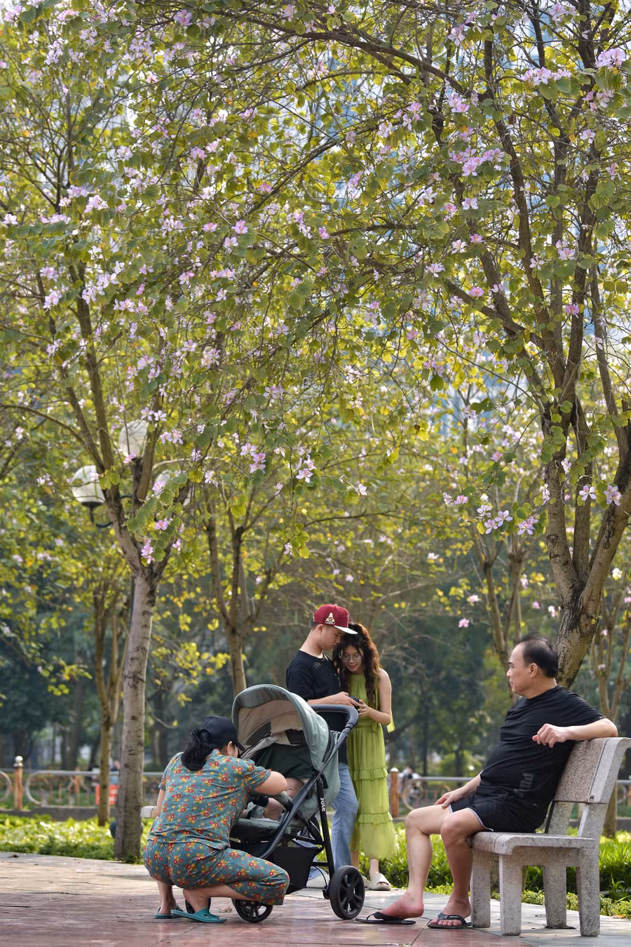 Hiện tại đang cuối tháng 3, công viên Cầu Giấy đang mang hơi thở của Tây Bắc tạo nên một khung cảnh thơ mộng.