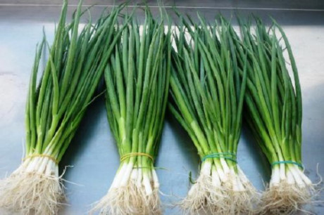 Công dụng chữa bệnh của hành - Ảnh 4 Cong dung chua benh cua hanh - Anh 4