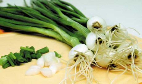 Công dụng chữa bệnh của hành - Ảnh 1 Cong dung chua benh cua hanh - Anh 1