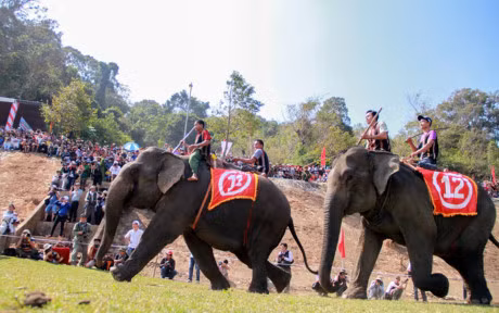 Chum anh: Cuoc dua gay can cua nhung chu voi Dak Lak - Anh 10