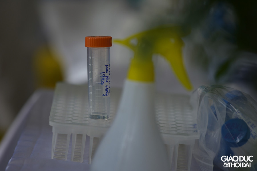 Trong sáng ngày hôm nay, tại điểm test trường mầm non Tràng An ( quận Thanh Xuân) người dân trên địa bàn đã có mặt từ rất sớm để test.