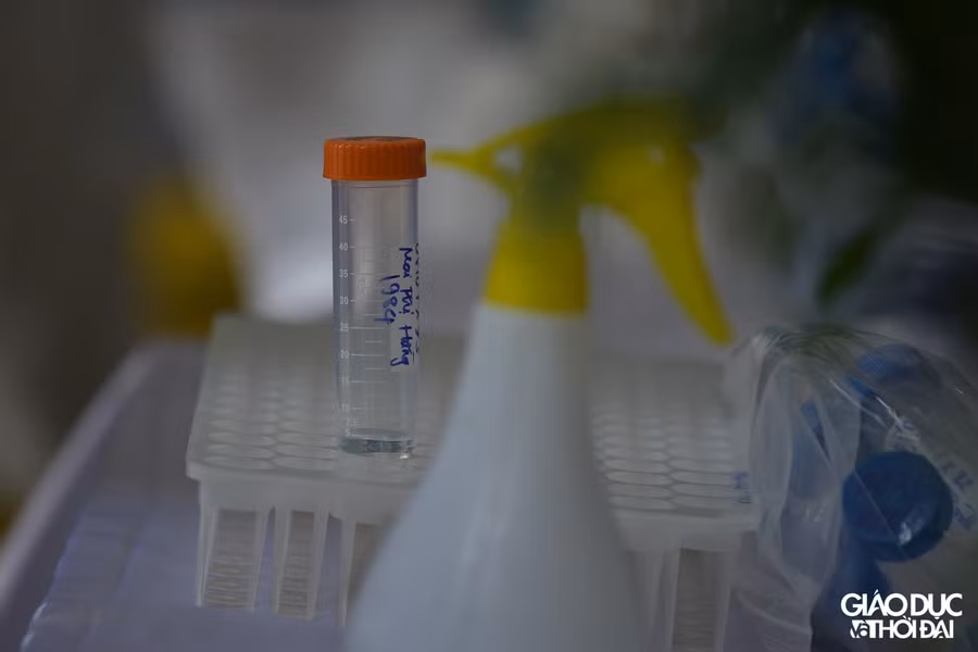 Trong sáng ngày hôm nay, tại điểm test trường mầm non Tràng An ( quận Thanh Xuân) người dân trên địa bàn đã có mặt từ rất sớm để test.