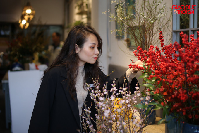 Trước sự bùng nổ các loại hoa lạ vào dịp Tết, nhiều người cũng tỏ ra nghi ngờ rằng đó là những loài hoa dại từ nước ngoài được đưa về Việt Nam. Chị Vân khẳng định: Tất cả loại hoa đều được nhập khẩu trực tiếp từ đường hàng không, qua các đối tác uy tín, có những trang trại trồng hoa rộng lớn.