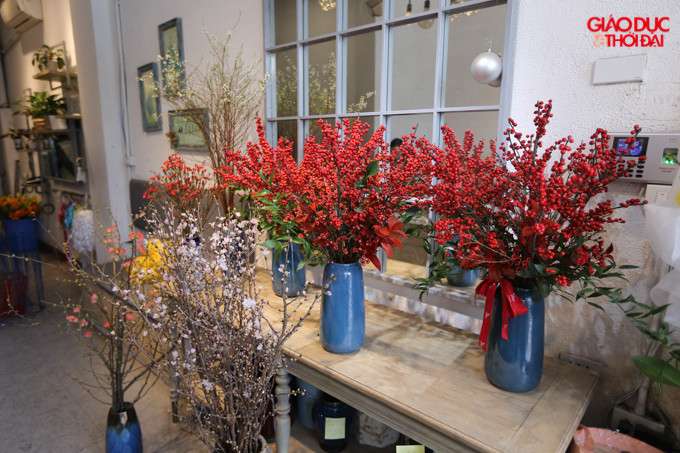 Với giá trung bình 500-700/cành, 7- 10 triệu/bình.