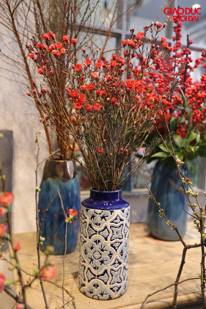 Các loại hoa nầy được nhập khẩu từ Hà Lan, Ecuado, Nhật Bản với giá đắt đỏ nhưng vẫn được nhiều người ưu chuộng.