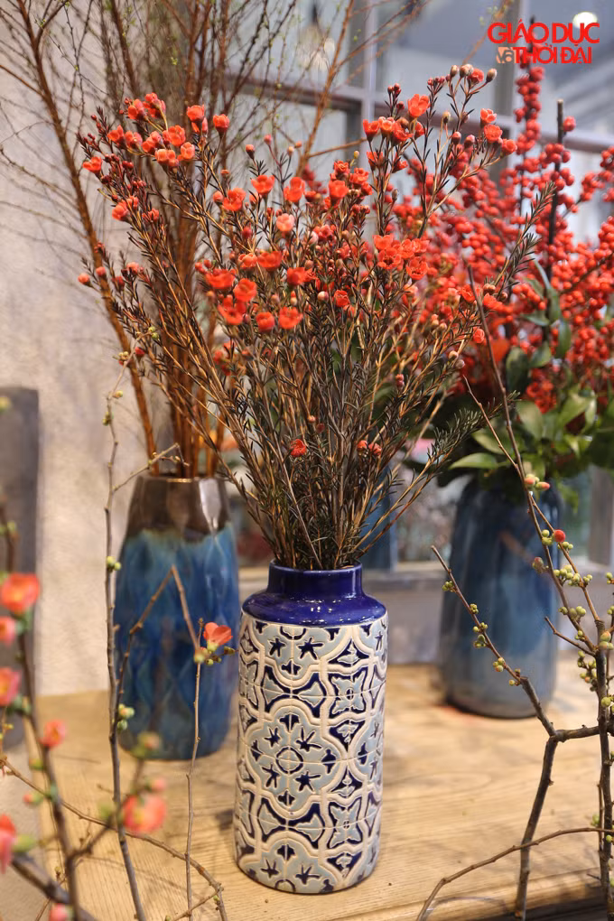 Các loại hoa nầy được nhập khẩu từ Hà Lan, Ecuado, Nhật Bản với giá đắt đỏ nhưng vẫn được nhiều người ưu chuộng.