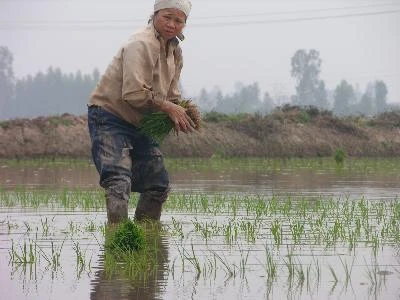 Triển khai sớm chương trình an sinh xã hội cho người nghèo, nông dân