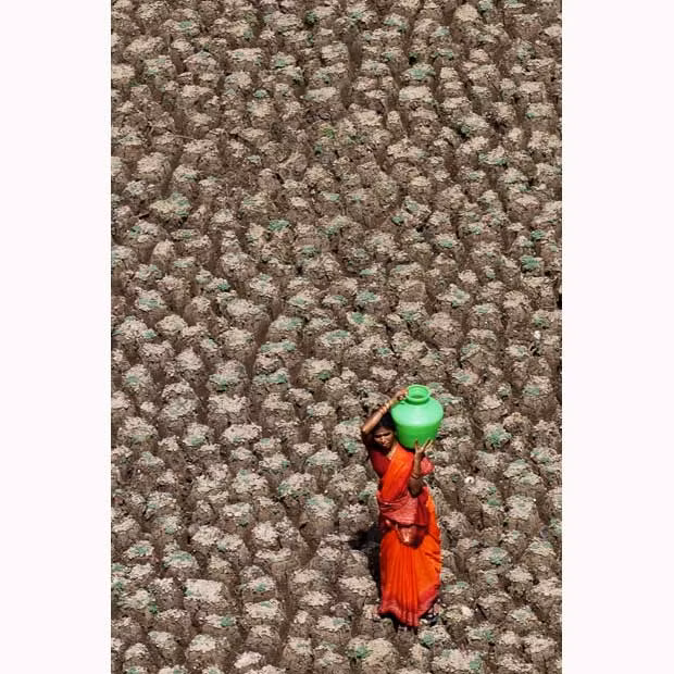 An Indian woman carrying drinking water as she walks on the dried up Osman Sagar lake on the outskirts of Hyderabad