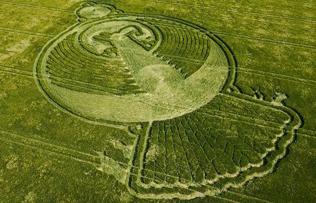 A 400-foot phoenix crop circle discovered in a barley field in Yatesbury near Devizes 