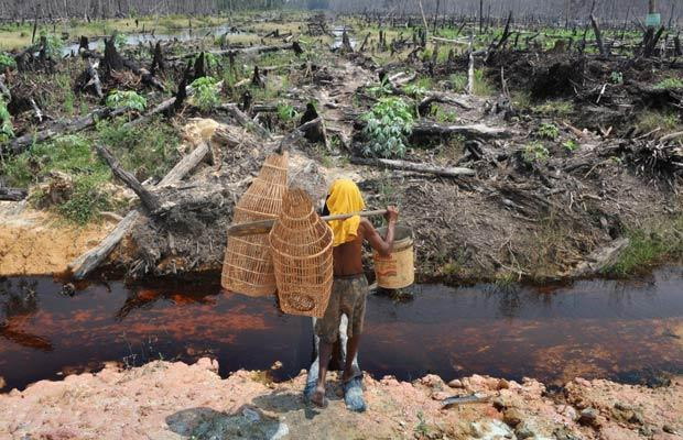 Sức "ăn mòn" kinh hoàng của biến đổi khí hậu ảnh 19 This photo taken on October 13, 2009 shows a fisherman walking through a devastated peatland forest in Indonesia’s Pangkalan Bunut in Riau province. NGO’s are mobilising themselves to save one of the last tropical forests of the island of Sumatra