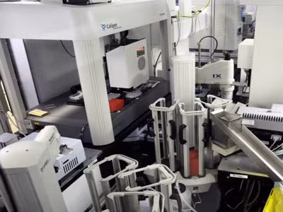 Adam đang tiến hành thí nghiệm...