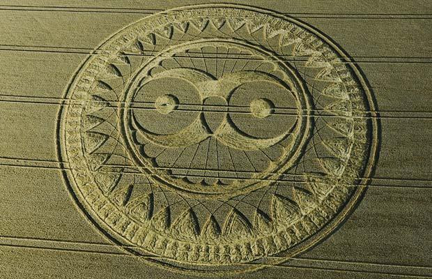 A giant crop circle had Harry Potter fans hooting with excitement after a pattern resembling pet owl Hedwig appeared in a field in Wiltshire