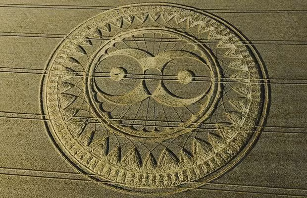 A giant crop circle had Harry Potter fans hooting with excitement after a pattern resembling pet owl Hedwig appeared in a field in Wiltshire