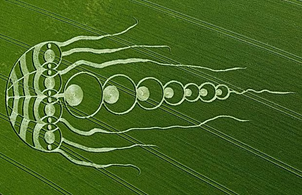 A 600-foot jellyfish crop circle created in a field of barley in Kingstone Coombes, Oxfordshire