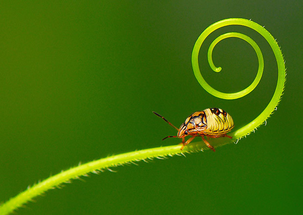 Planet Earth 3rd Place: My Journey by Bayu Husodo, Indonesia