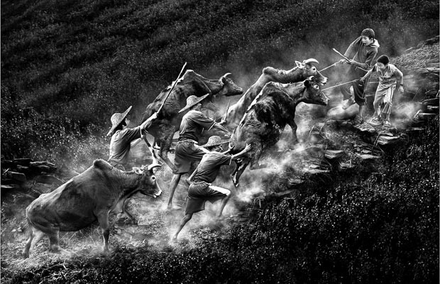 Black & White 2nd Place: Don’t Give Up! by Yim Shui Kee Janet, Hong Kong
