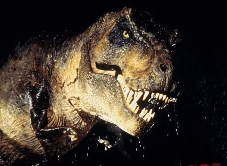 T Rex, loài khủng long nổi tiếng trong phim Công viên Kỷ jura, dài gần gấp 4 lần so với tổ tiên của mình và có thể đạt tới độ dài 13 mét T Rex, made famous by the film Jurassic Park, was almost four times as long as its ancestor and could grow up to 43ft in length