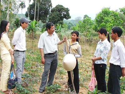 Chính quyền địa phương cùng đoàn giáo viên trường THCS Sơn Thượng (huyện Sơn Hà, Quảng Ngãi) lên tận rẫy vận động một em học sinh trở lại lớp