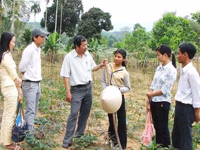 Chính quyền địa phương cùng đoàn giáo viên trường THCS Sơn Thượng (huyện Sơn Hà, Quảng Ngãi) lên tận rẫy vận động một em học sinh trở lại lớp