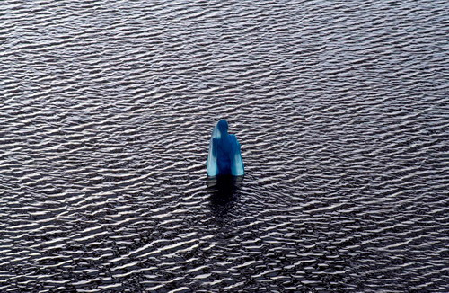 A Hindu woman devotee offers prayers after taking a holy dip in the waters of river Ganga in the northern Indian city of Allahabad May 4, 2009. (REUTERS/Jitendra Prakash)