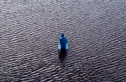 A Hindu woman devotee offers prayers after taking a holy dip in the waters of river Ganga in the northern Indian city of Allahabad May 4, 2009. (REUTERS/Jitendra Prakash)