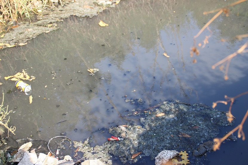 Đà Nẵng: 100 hộ dân xay xẩm mặt mày vì dòng kênh hôi thối ảnh 1 Đà Nẵng: 100 hộ dân xay xẩm mặt mày vì dòng kênh hôi thối