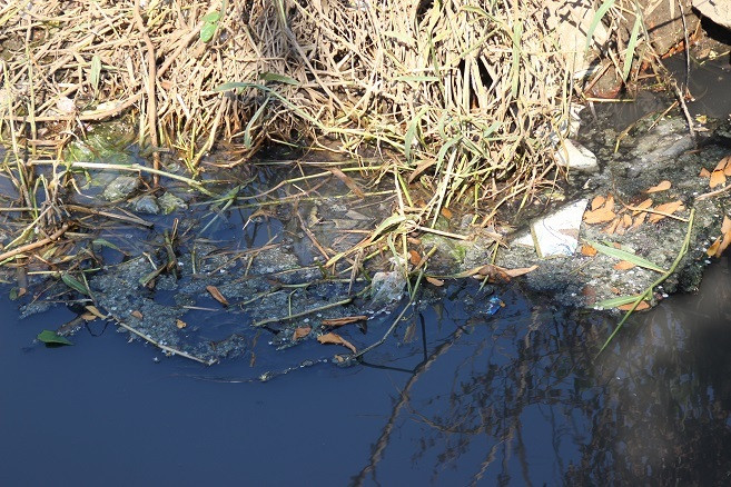 Đà Nẵng: 100 hộ dân xay xẩm mặt mày vì dòng kênh hôi thối ảnh 5 Đà Nẵng: 100 hộ dân xay xẩm mặt mày vì dòng kênh hôi thối