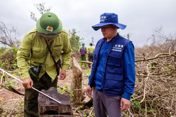 Cơ quan chức năng kiểm tra hiện trường vụ phá rừng. (Ảnh: H.T).