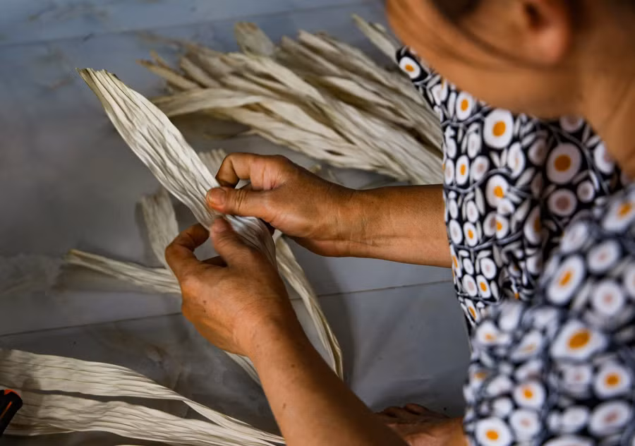 Lá sau khi đã phơi khô sẽ được tước nhỏ hay còn gọi là rẽ lá.