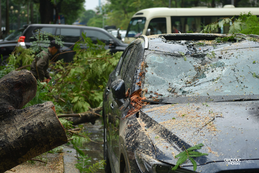 Phần đầu xe ô tô, làm vỡ kính lái, phần nóc ô tô bẹp.