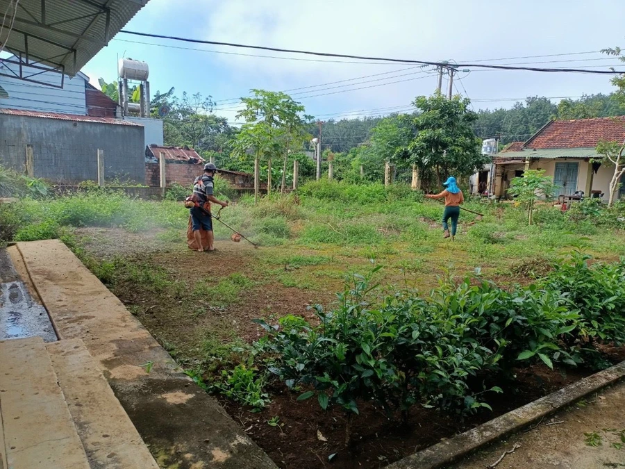 Trường học trên địa bàn tỉnh Gia Lai tổ chức dọn dẹp, chuẩn bị cho năm học mới.