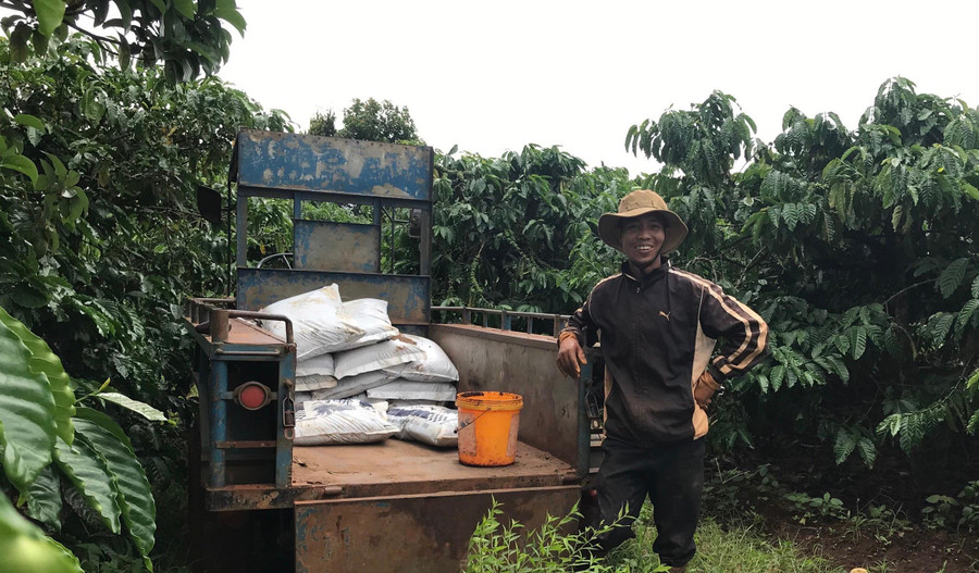 Anh Xuân là một trong những người tiên phong chuyển đổi gần 1,5 ha cà phê trồng theo phương thức truyền thống sang tiêu chuẩn UTZ.