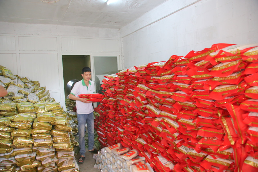 Sau khi được thị trường chấp nhận, dự kiến mỗi tháng doanh nghiệp sẽ tiếp tục xuất khẩu 30 - 50 tấn gạo hữu cơ sang Châu Âu.