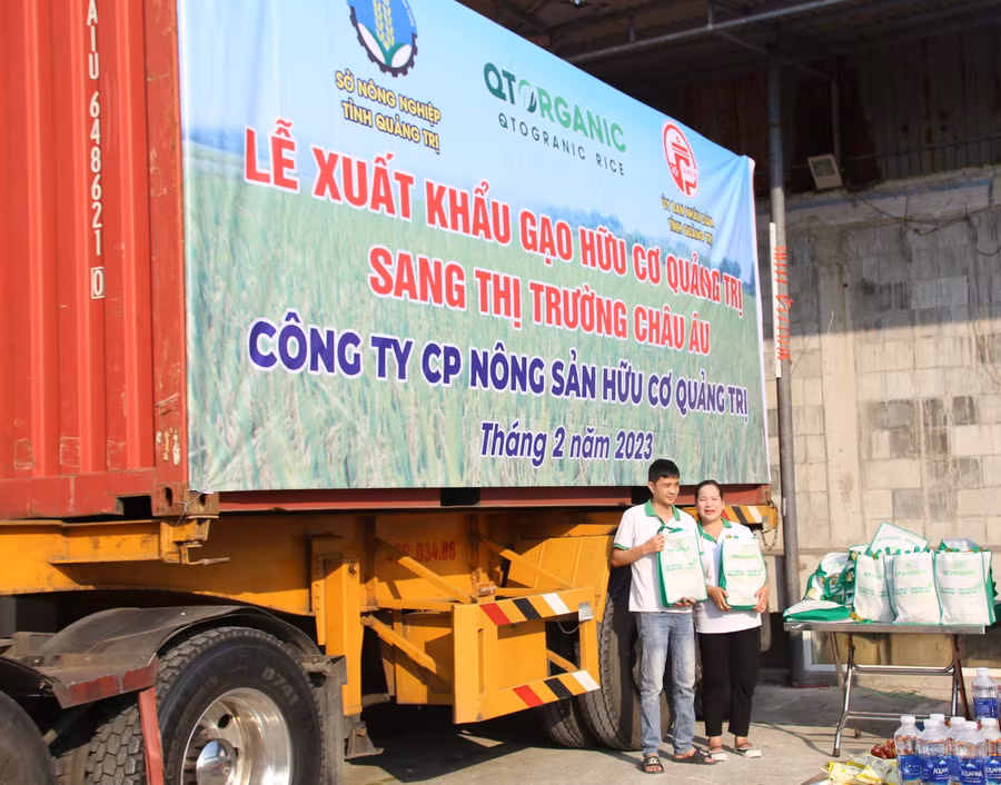 15 tấn gạo hữu cơ Quảng Trị sang thị trường châu Âu, với giá bán 1.800 USD/tấn và sẽ xuất đi tại cảng Đà Nẵng vào giữa tháng 2/2023. (Ảnh: Đ. Đức).