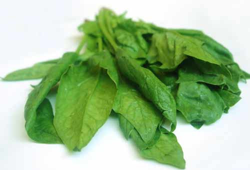 Thực phẩm tốt cho hệ thần kinh