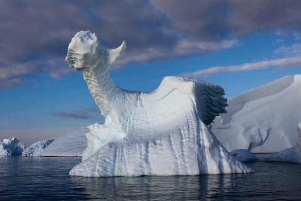 Những hình ảnh ấn tượng trong tuần ảnh 3 An iceberg that looks like a dragon is seen in the Antarctic Peninsula near Peterman Island. Kseniia Maiukova, who photographed the formation, said: