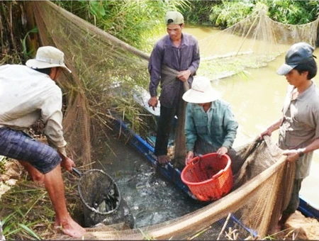 Chụp đìa mùa Tết