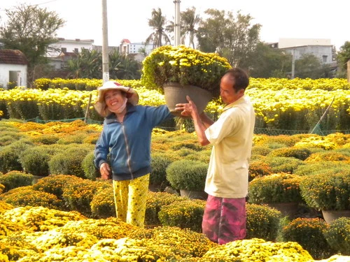 Rực rỡ sắc xuân trên mọi miền