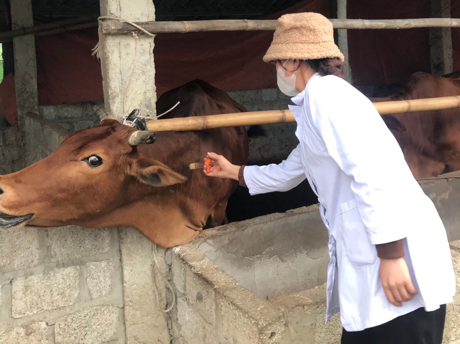 Xèn Thị Bơn trong một lần đi thực tập nghiên cứu khoa học tại cơ sở. Xèn Thị Bơn trong một lần đi thực tập nghiên cứu khoa học tại cơ sở.