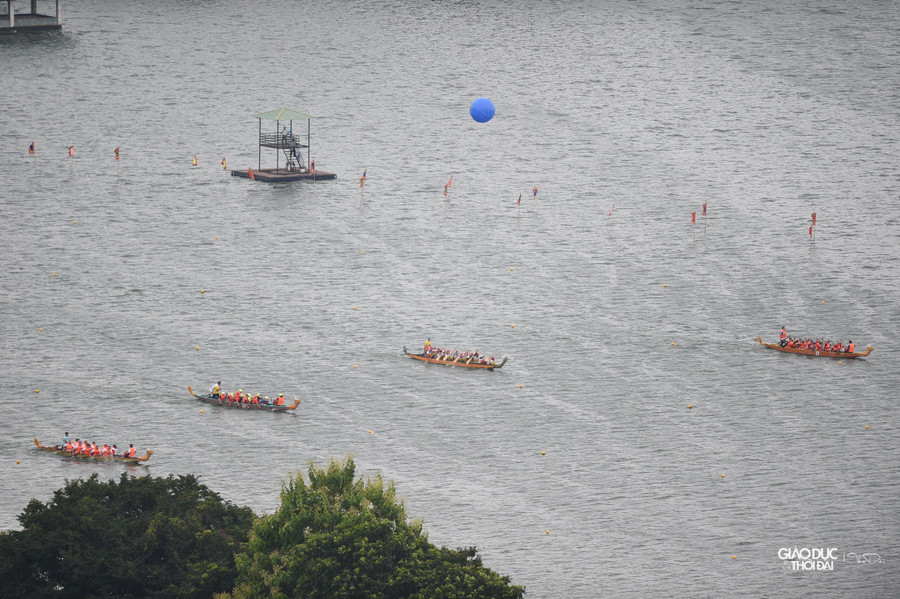Giải đấu dành cho 4 nhóm đối tượng tham gia, gồm đội mạnh các tỉnh thành, nhóm các quận, huyện, thị xã, nhóm đại sứ quán, tổ chức quốc tế, nhóm câu lạc bộ, doanh nghiệp, tổ chức trong nước và các thành viên yêu thích môn đua thuyền