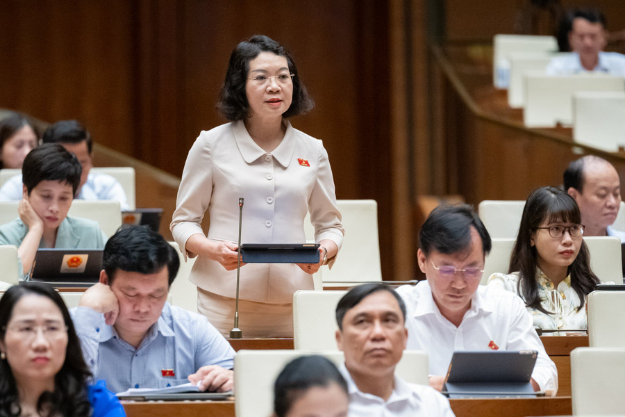 Đại biểu Mai Thị Phương Hoa (Đoàn ĐBQH tỉnh Nam Định). Đại biểu Mai Thị Phương Hoa (Đoàn ĐBQH tỉnh Nam Định).