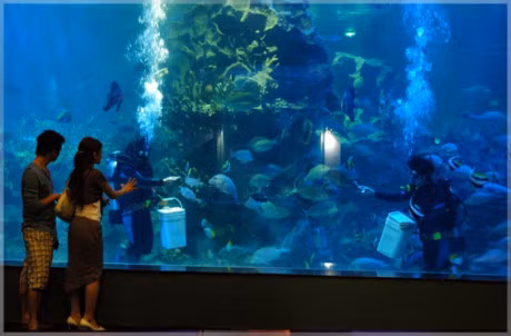 Nhung dia diem vui choi dip 30/4- 1/5 o Ha Noi 