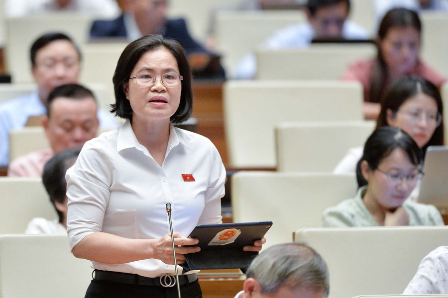 Đại biểu Nguyễn Thị Hồng Hạnh (Đoàn ĐBQH TPHCM). Đại biểu Nguyễn Thị Hồng Hạnh (Đoàn ĐBQH TPHCM).