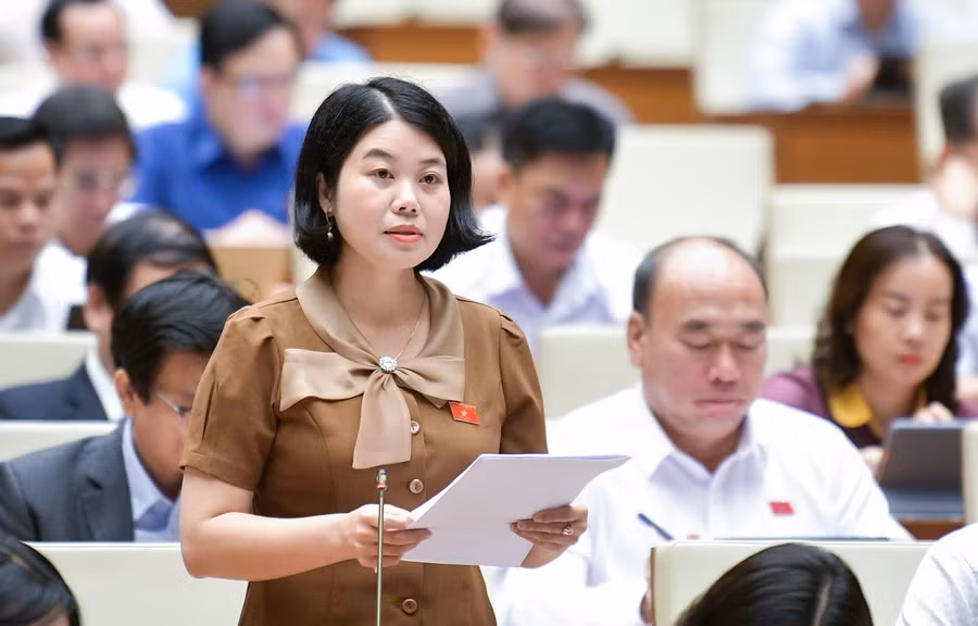 Đại biểu Nguyễn Thị Huế (Đoàn ĐBQH tỉnh Bắc Kạn).