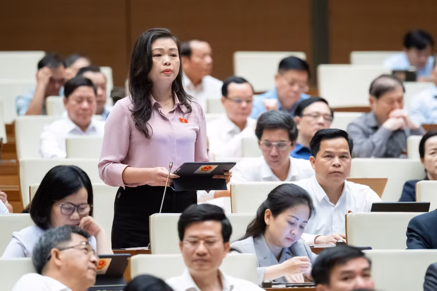 Đại biểu Quốc hội Đoàn Thị Lê An (Đoàn ĐBQH tỉnh Cao Bằng).