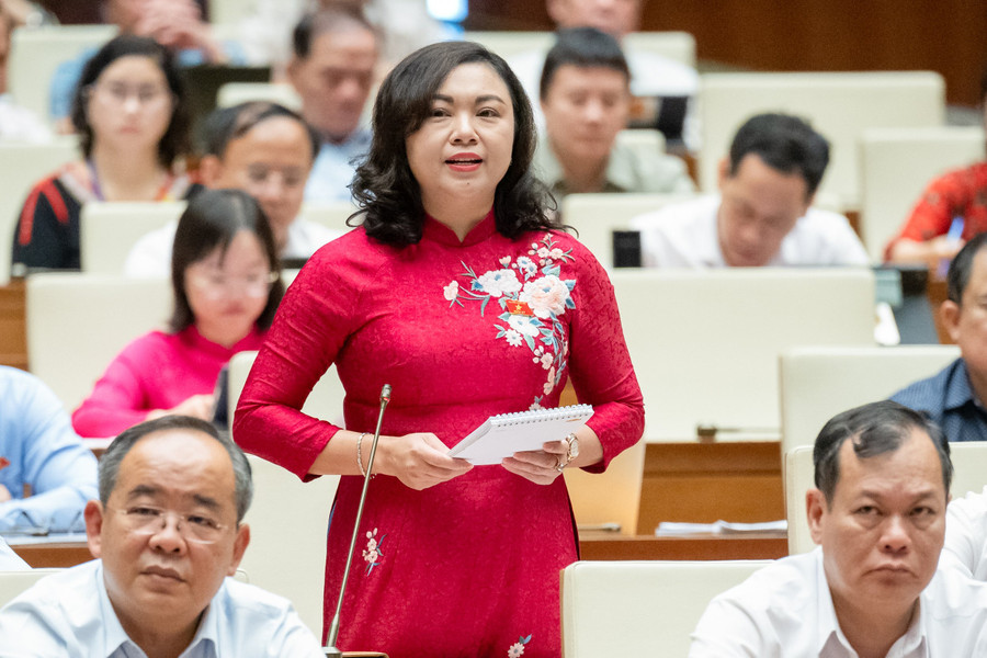 Đại biểu Đặng Bích Ngọc chất vấn Bộ trưởng Đặng Quốc Khánh. Đại biểu Đặng Bích Ngọc chất vấn Bộ trưởng Đặng Quốc Khánh.