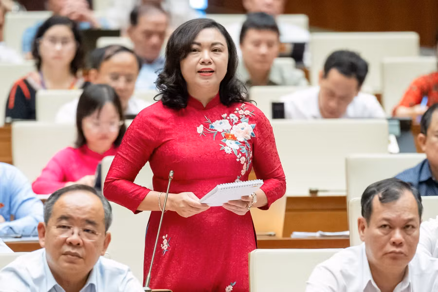 Đại biểu Đặng Bích Ngọc chất vấn Bộ trưởng Đặng Quốc Khánh.