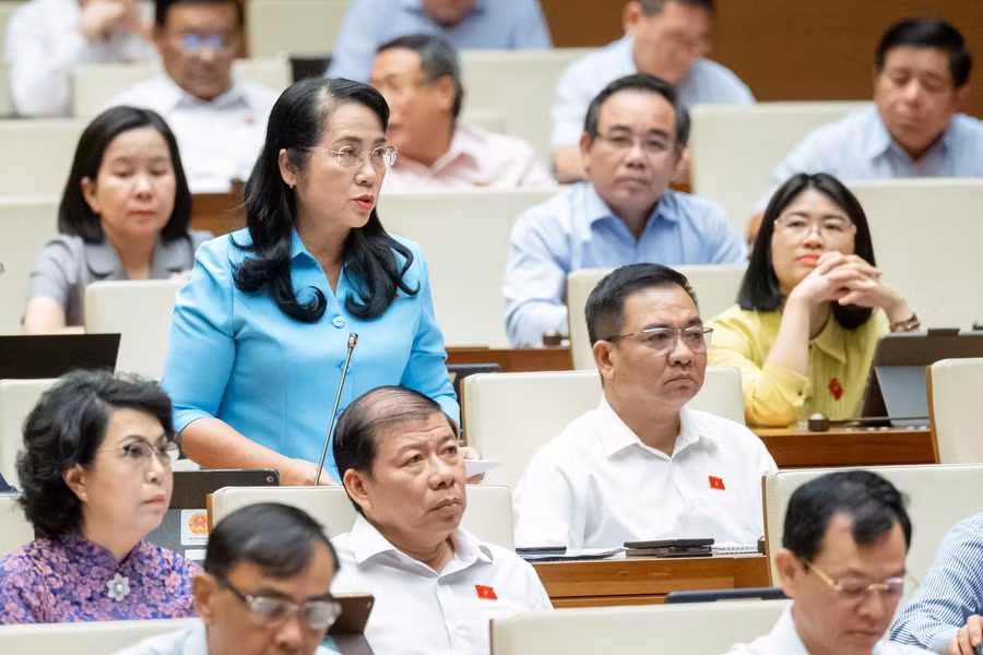 Đại biểu Trần Kim Yến (đoàn ĐBQH TP Hồ Chí Minh).