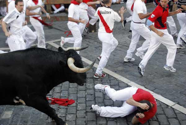 Nín thở vì… bò tót ảnh 1 A runner falls in front of a Penajara fighting bull on the first day of the running of the bulls during the San Fermin festival in Pamplona July 7, 2010. Six bulls are released every morning throughout the festival to run through the cobbled streets of Pamplona to the bullring, where they will be killed in a bullfight in the afternoon